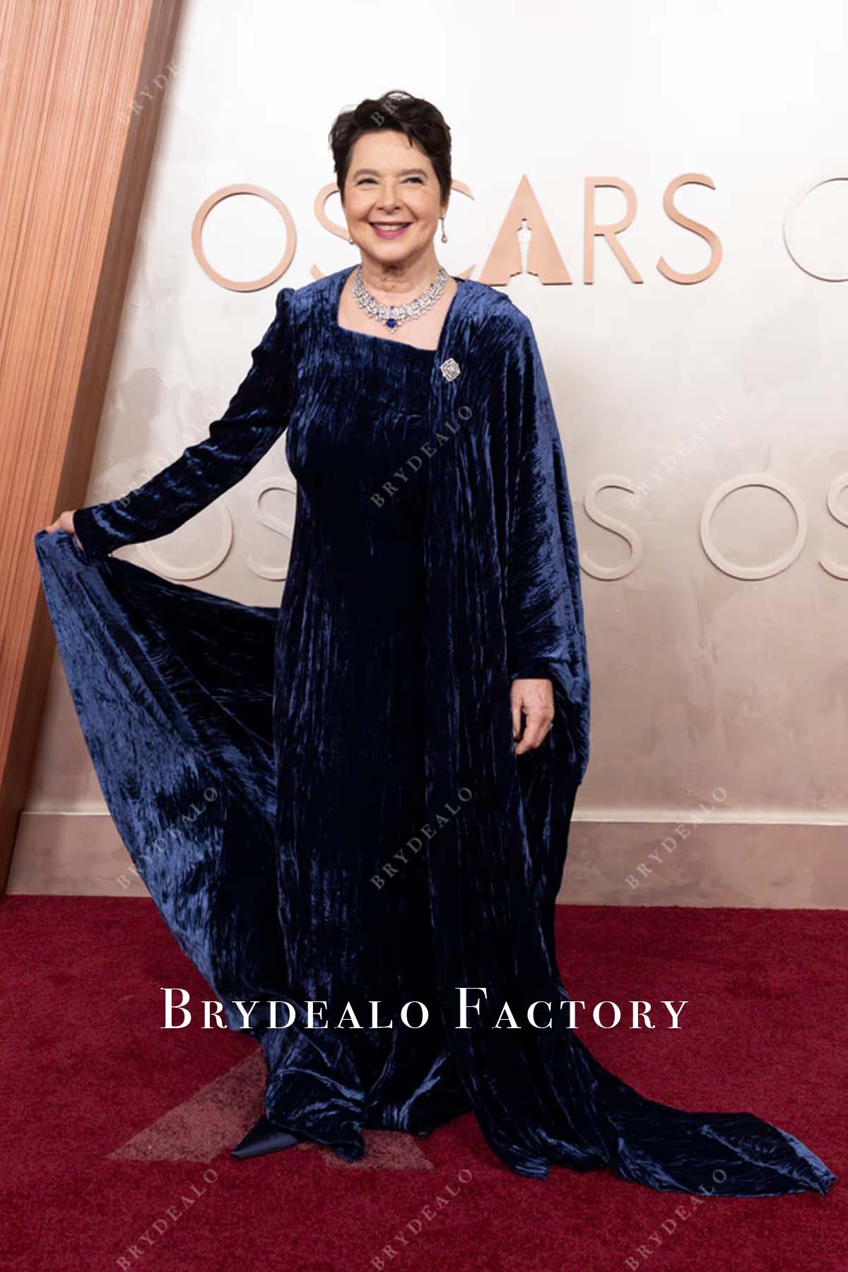 plus size Isabella Rossellini velvet 2025 Oscars red carpet prom dress