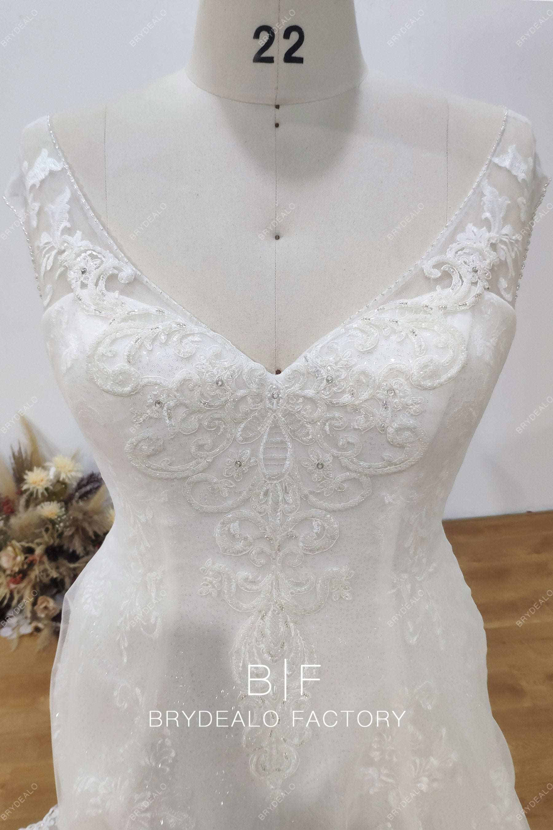 Plus Size V-neck Sleeveless Lace Wedding Dress