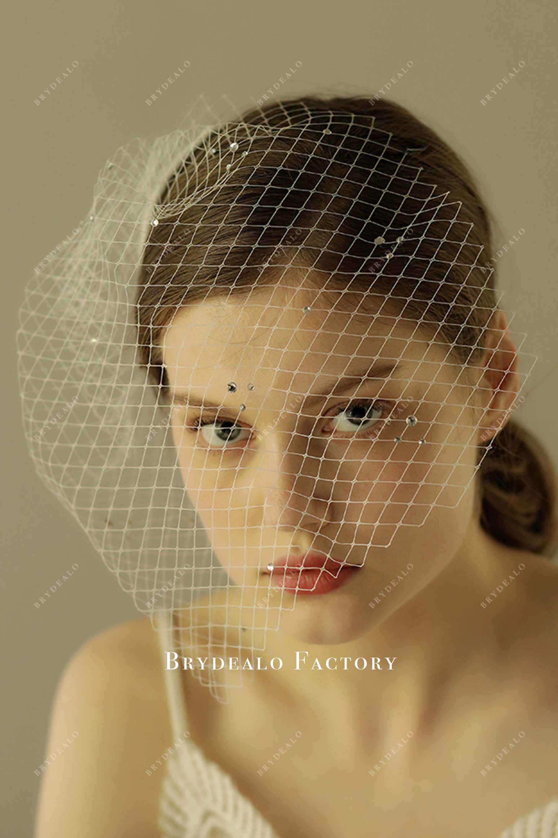 raw cut net bridal veil