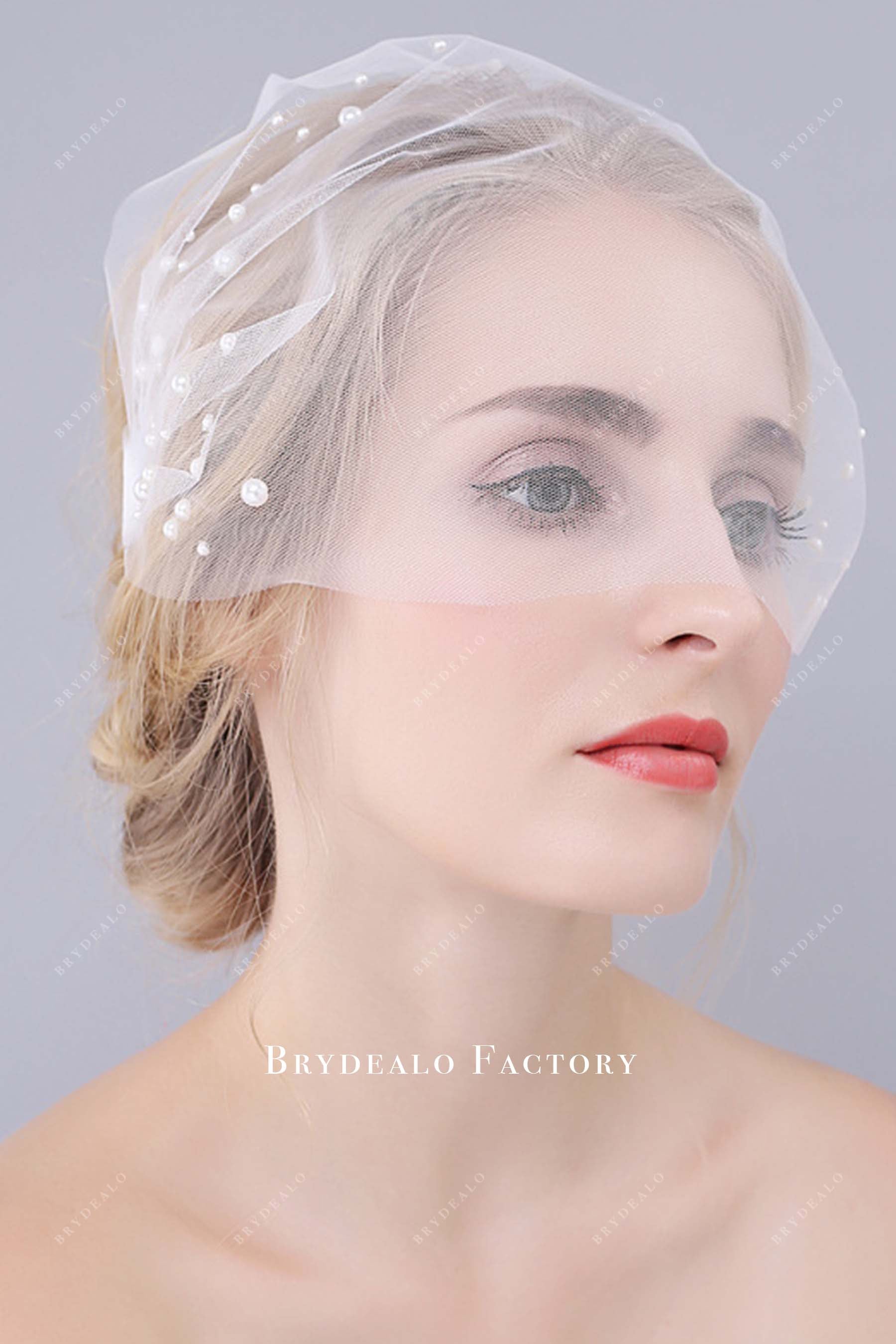 tulle birdcage bridal veil