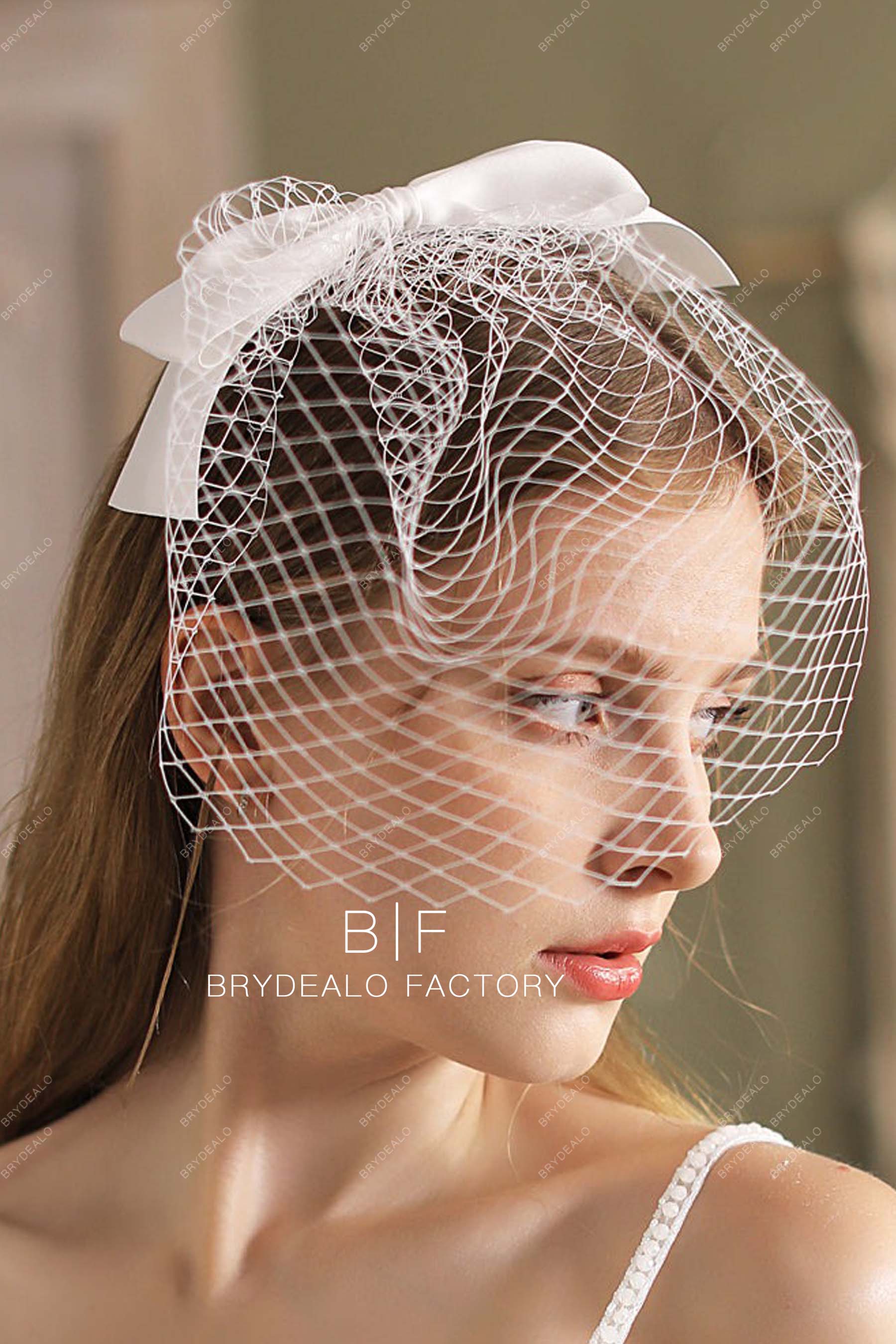 retro bridal birdcage veil