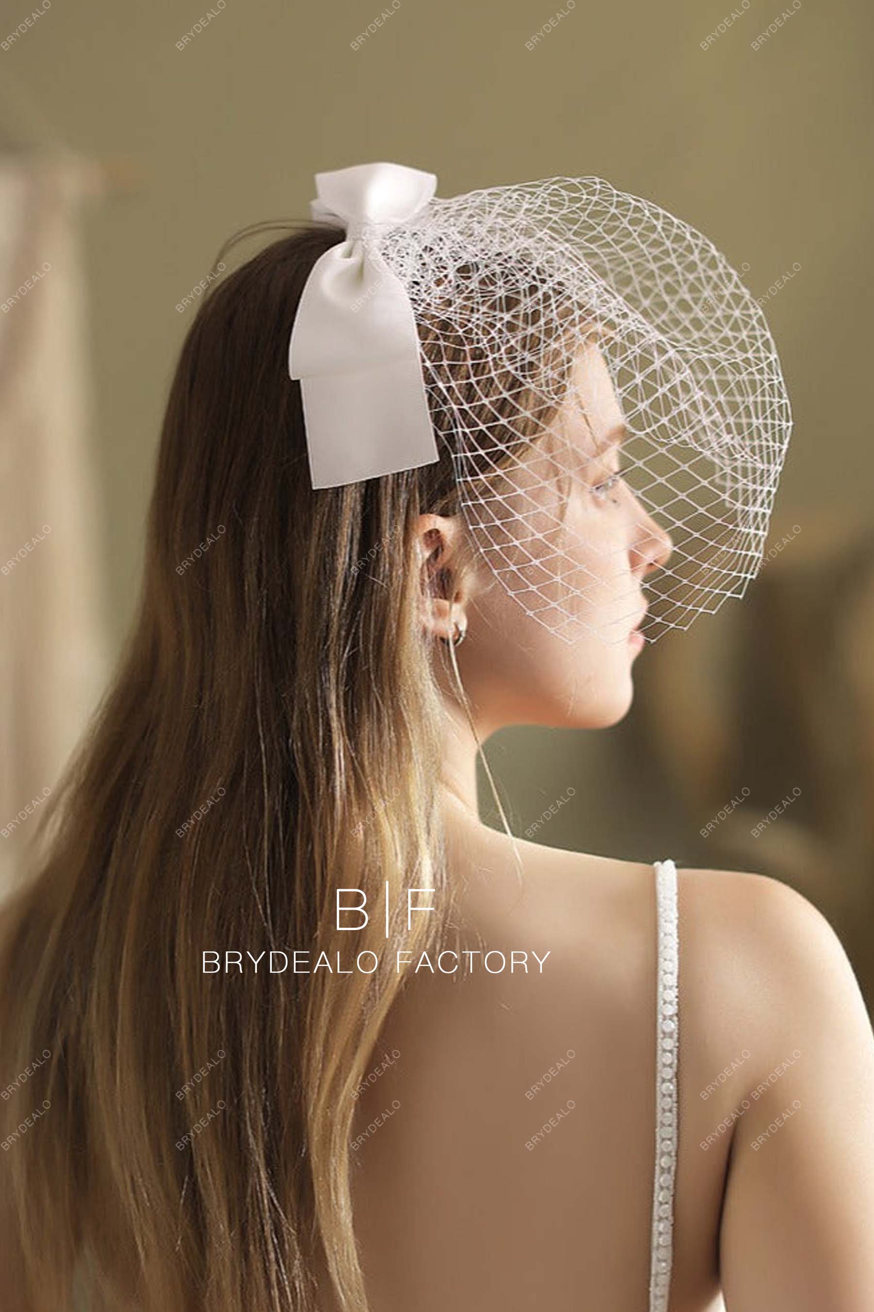 vintage bridal birdcage veil