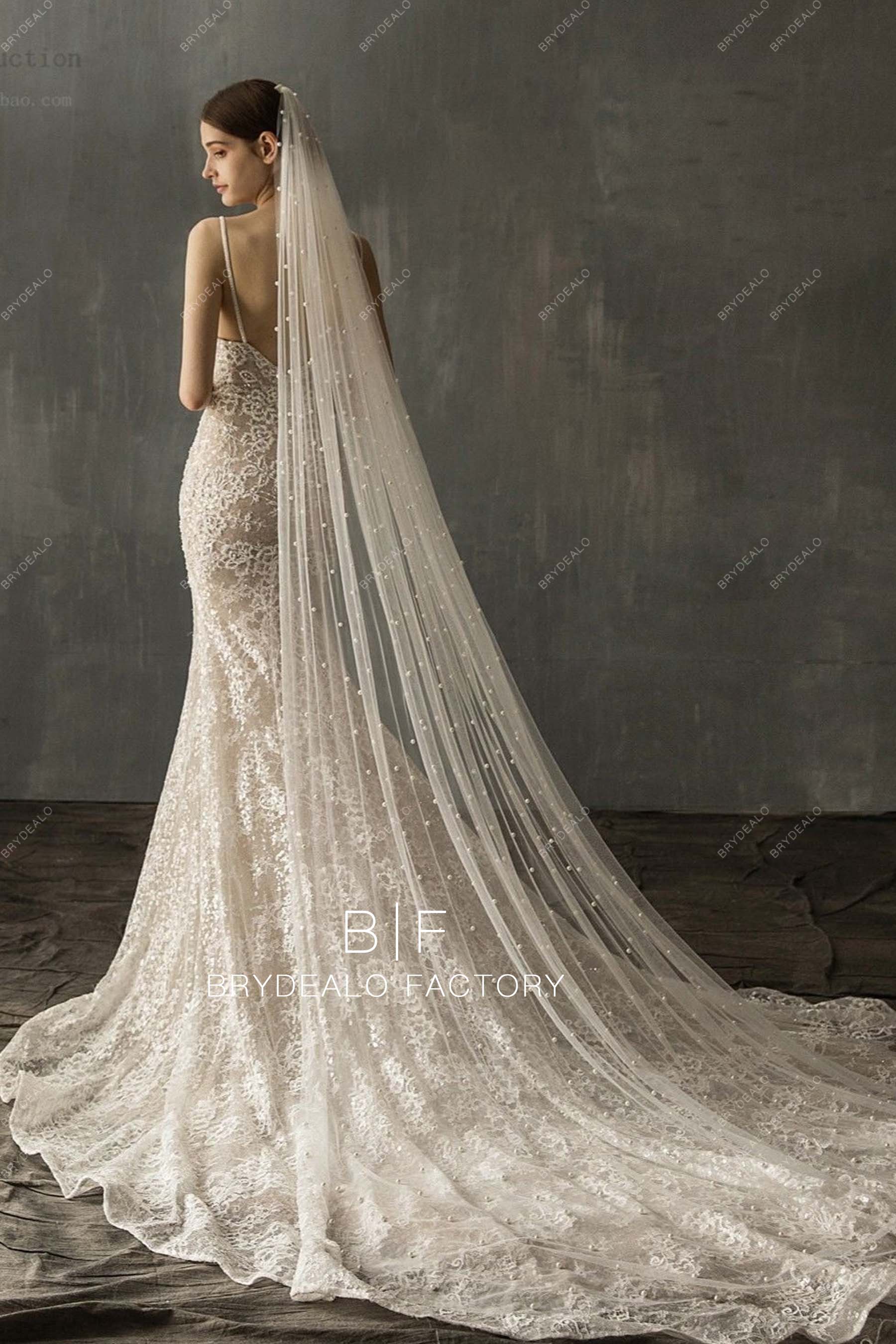 Long Train Bridal Veil Scattered Pearls Wedding Veil