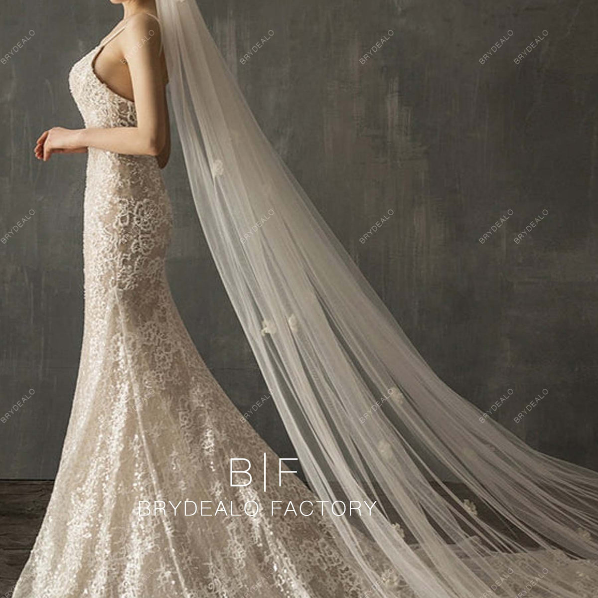 https://designformal.com/cdn/shop/products/Flowers-Scattered-Long-Bridal-Wedding-Veil.jpg?crop=center&height=1200&v=1676637542&width=1200