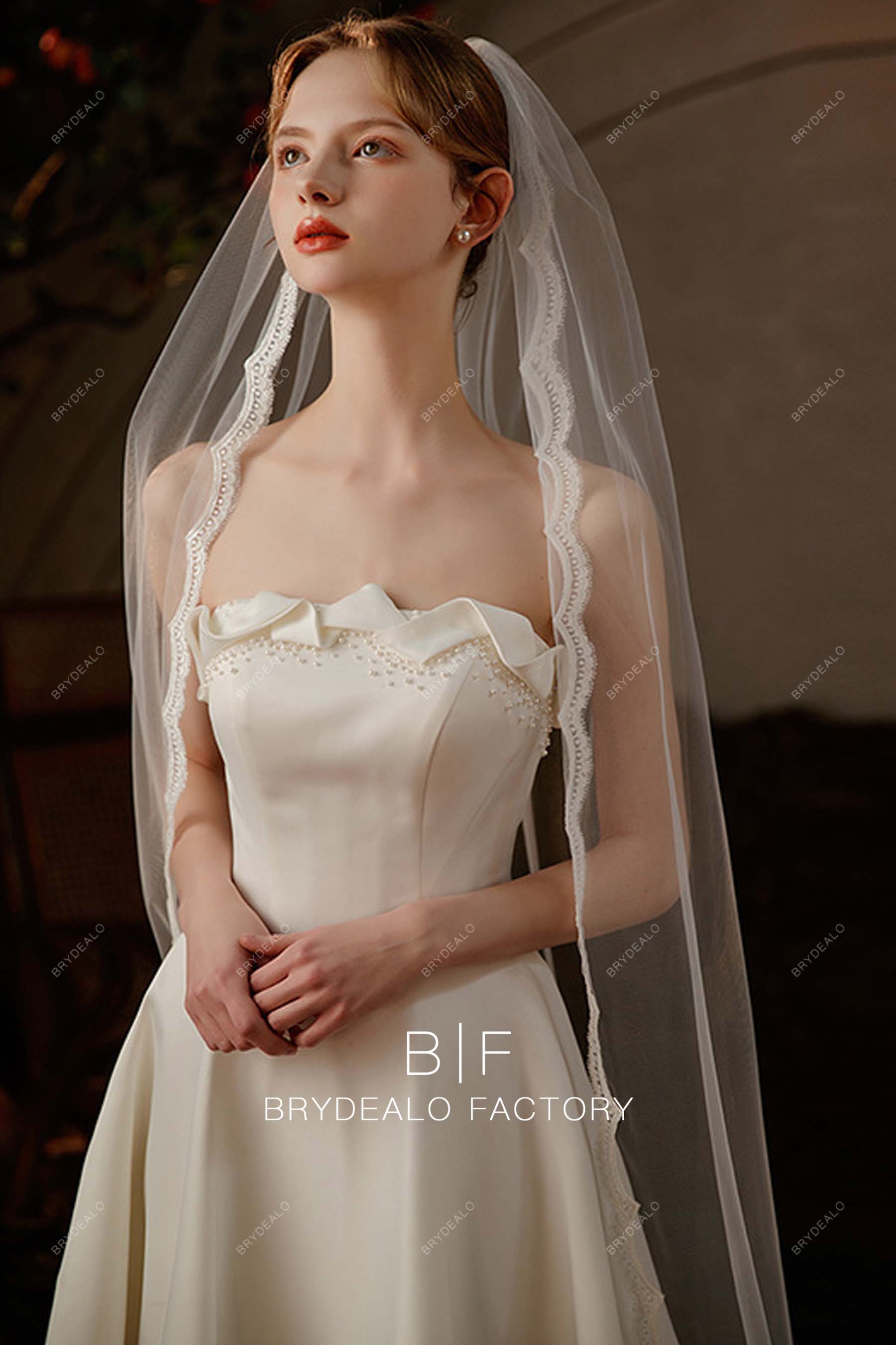Lace Edging Single Layer Bridal Veil