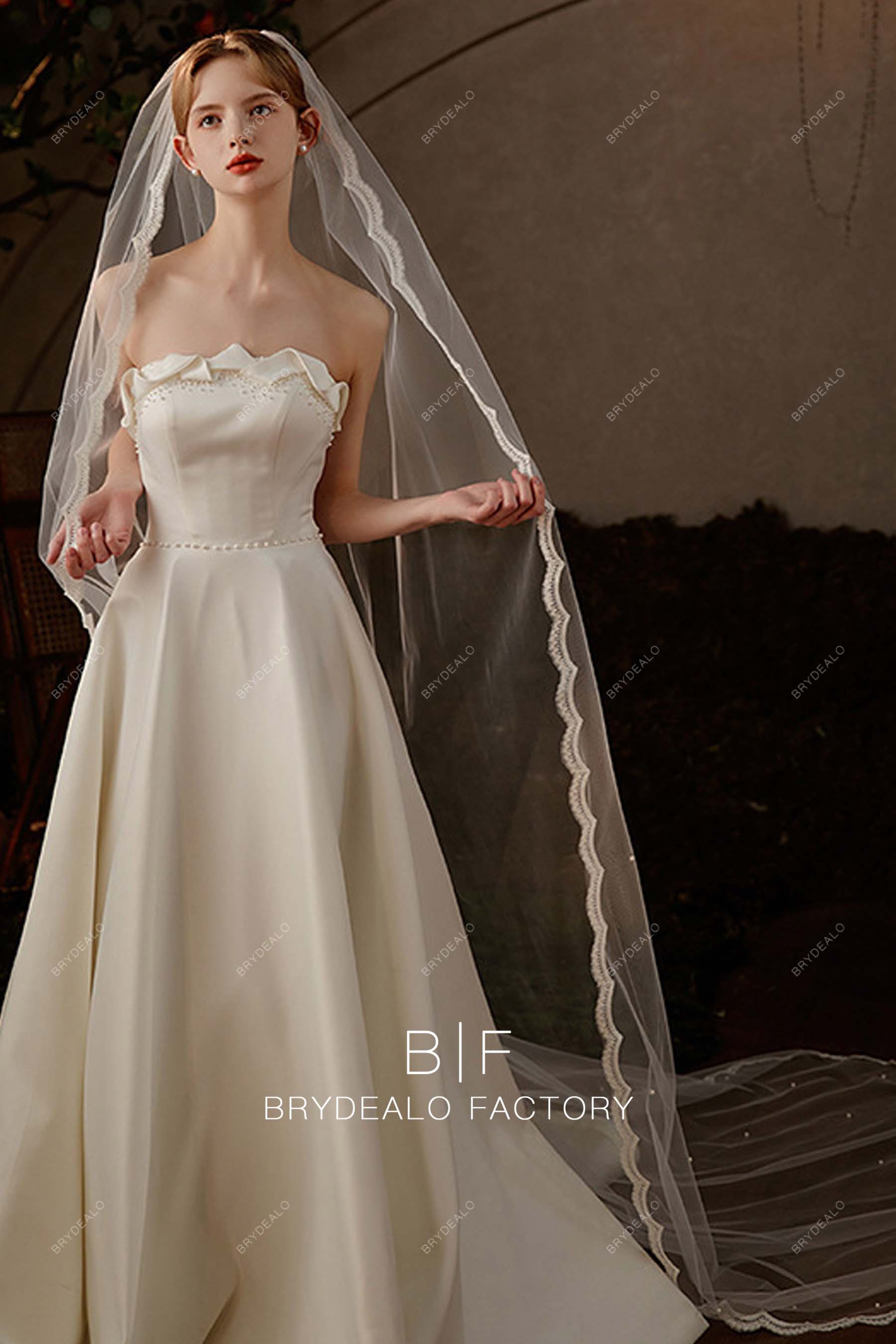 Lace Edging Cathedral Length Bridal Veil