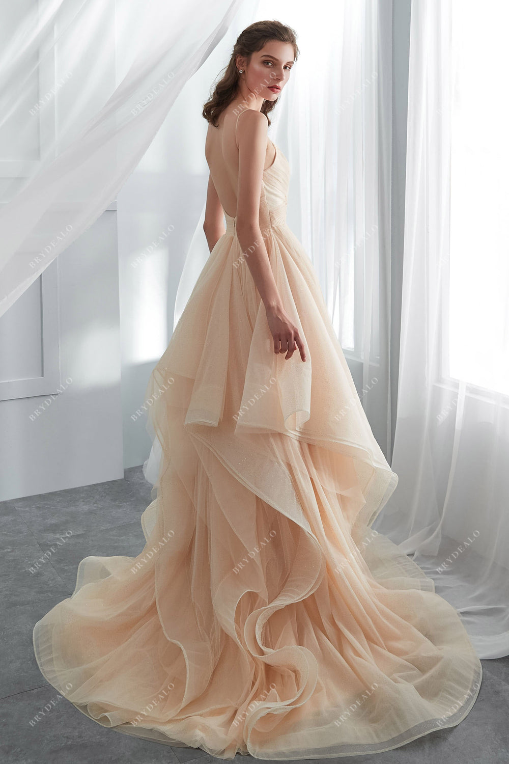 Ombre Layered Tulle Ballgown