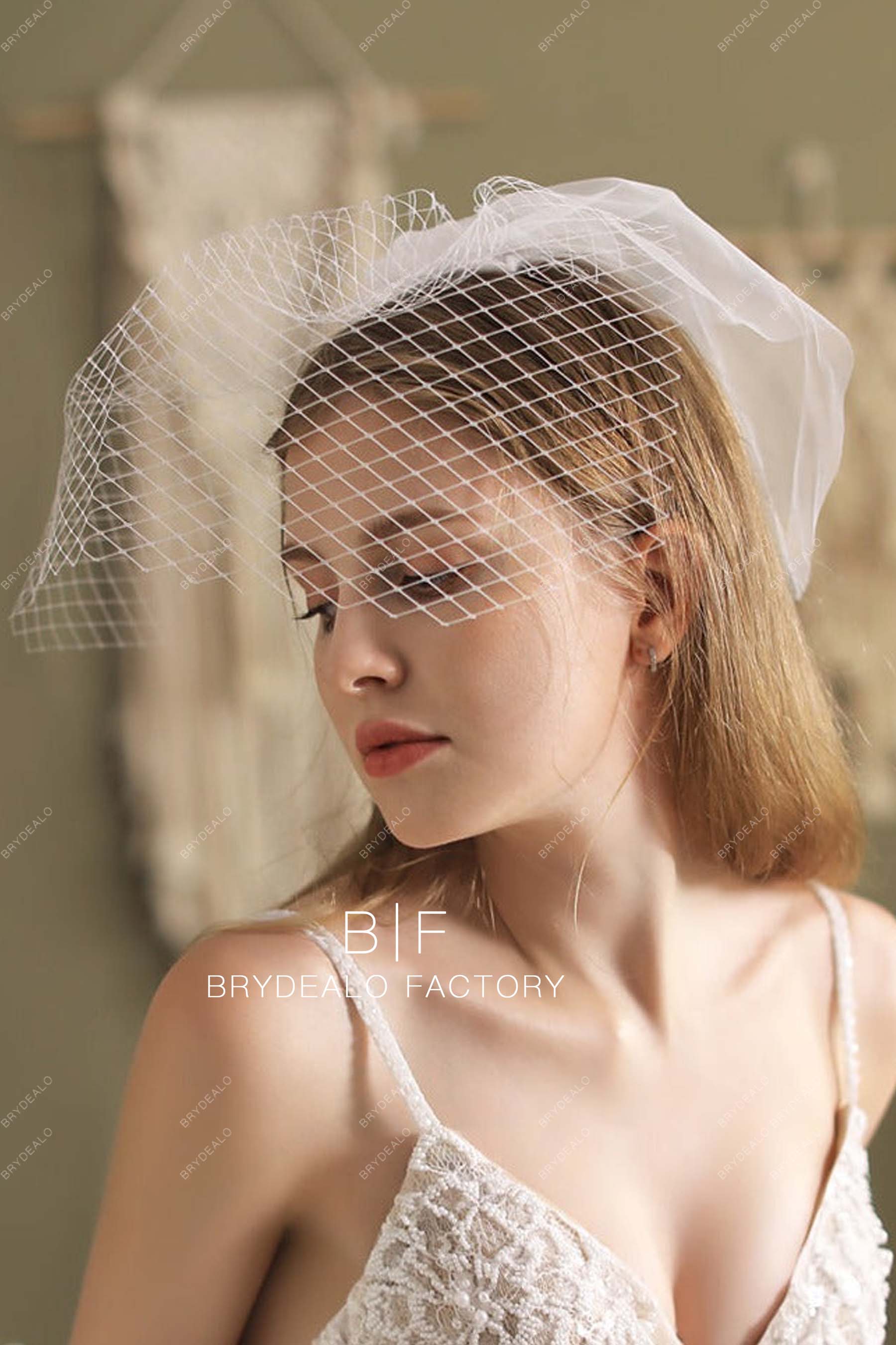classic birdcage veil