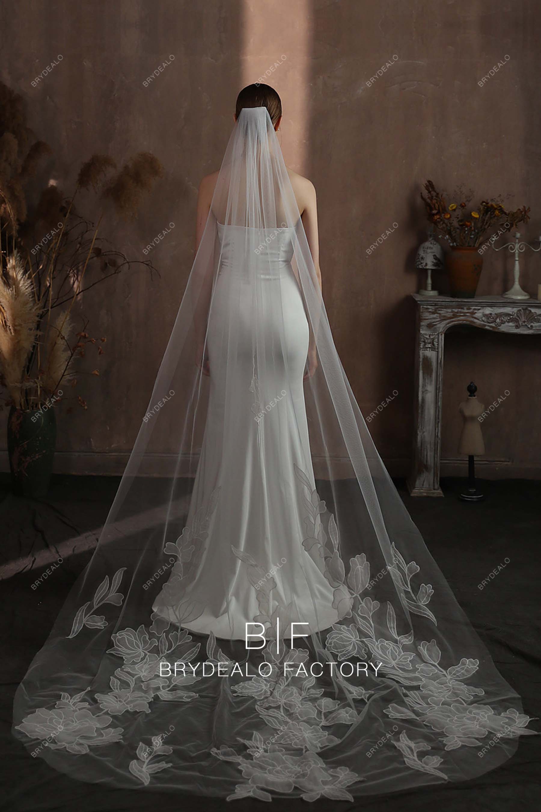 Beautiful Lace Raw Cut Single Tier Bridal Veil