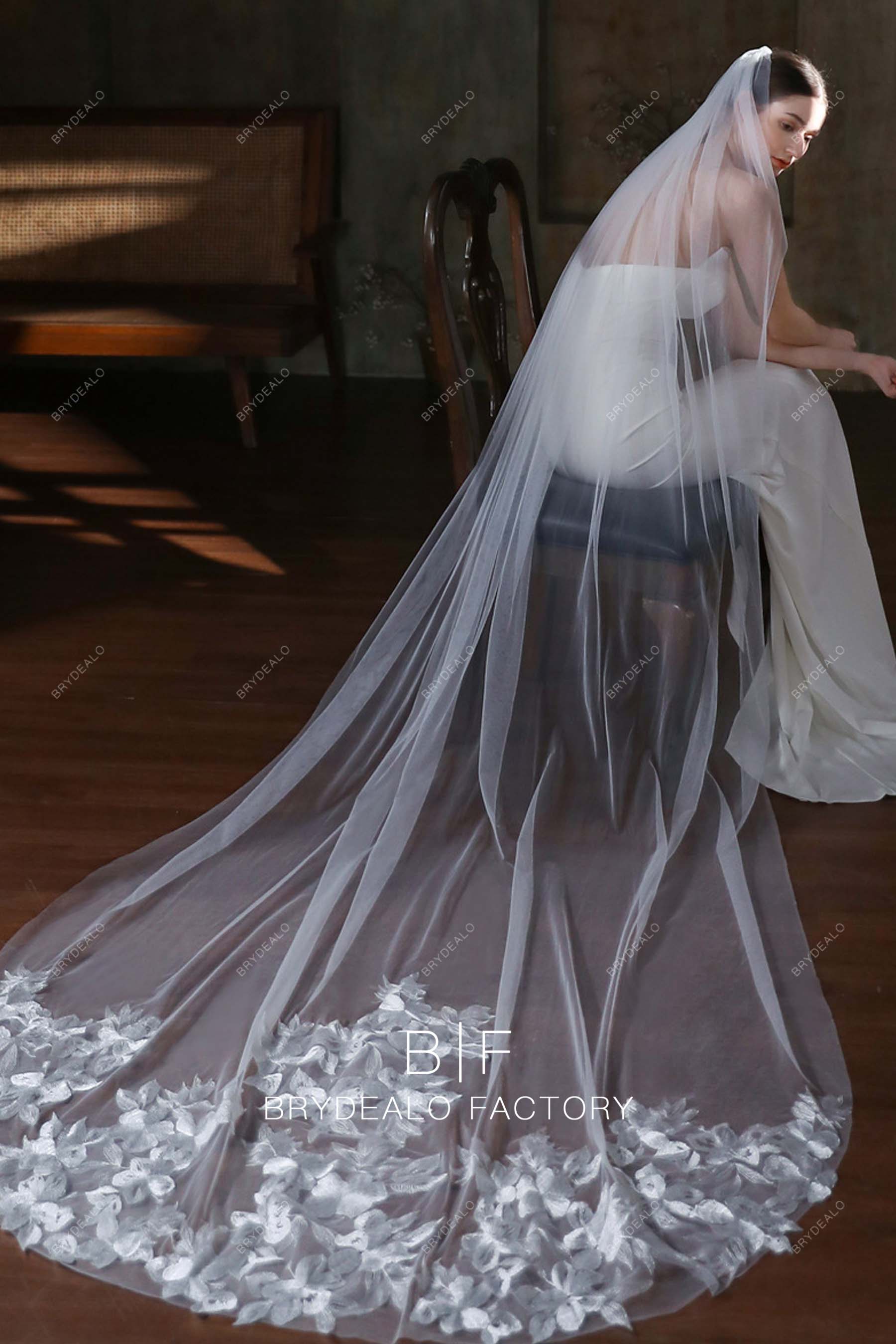 Elegant Lace Single Tier Chapel Length Bridal Veil