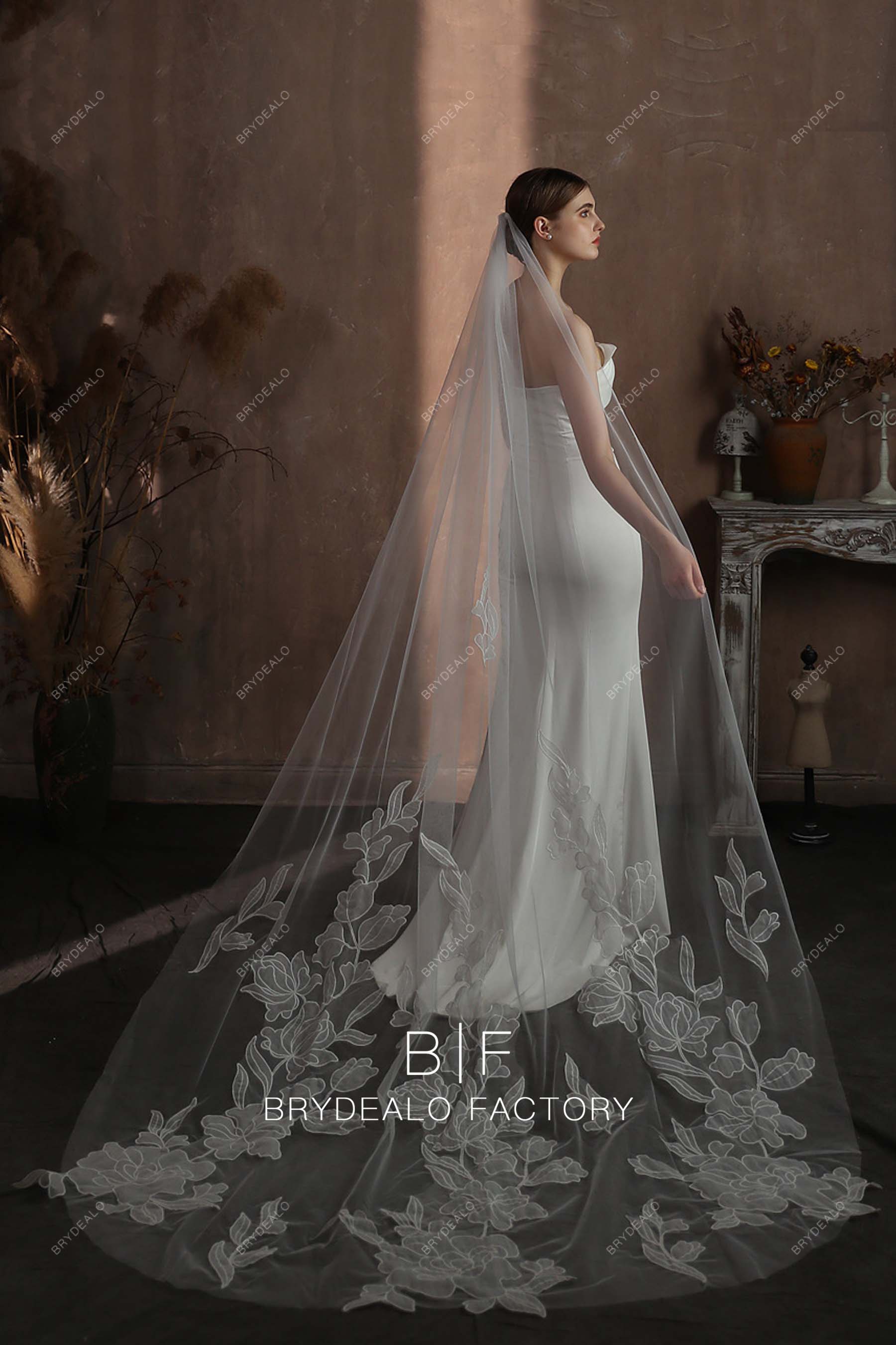 Gorgeous Lace Cathedral Length Single Tier Bridal Veil