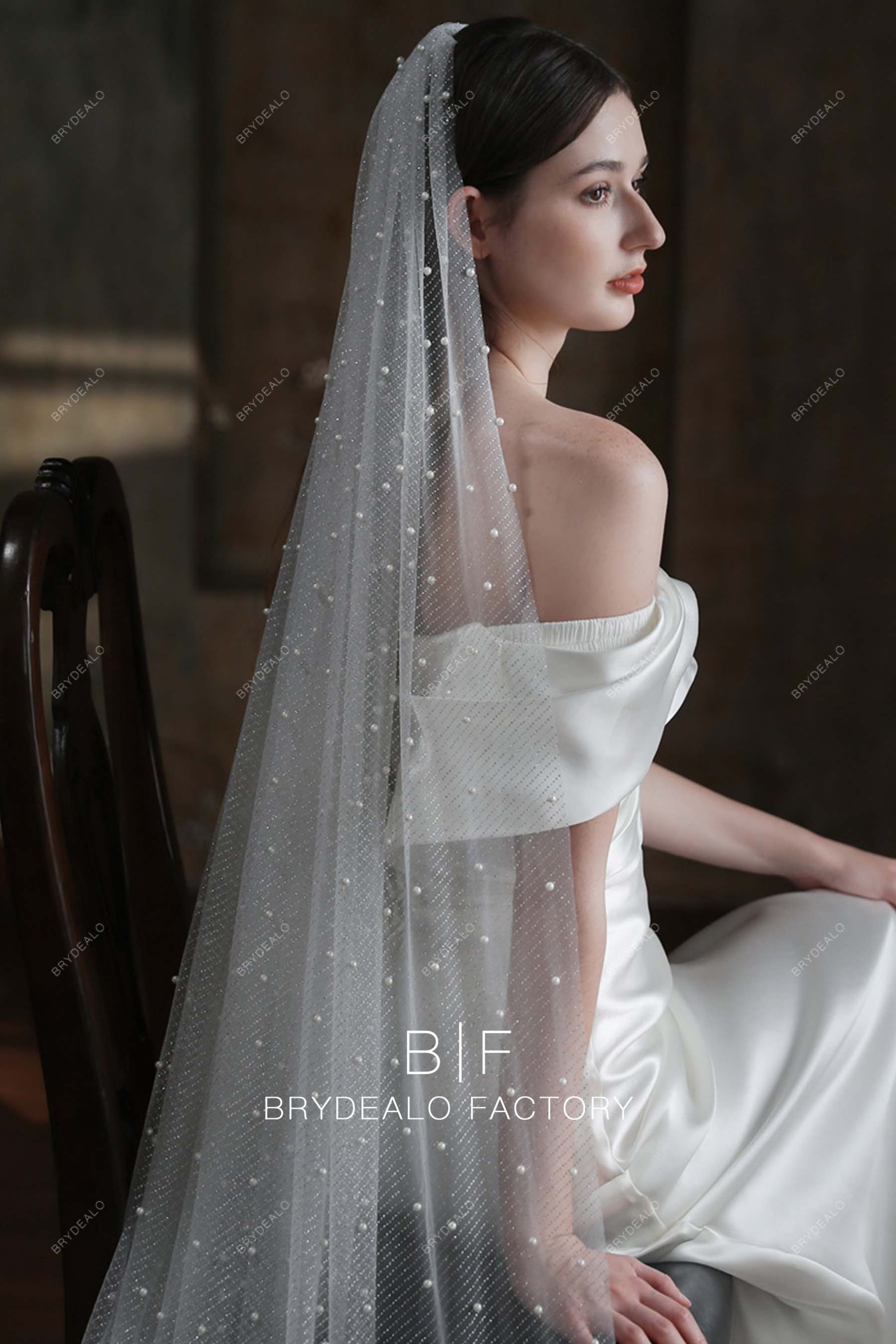 Allover Pearls Silver Glitter Chapel Length Bridal Veil