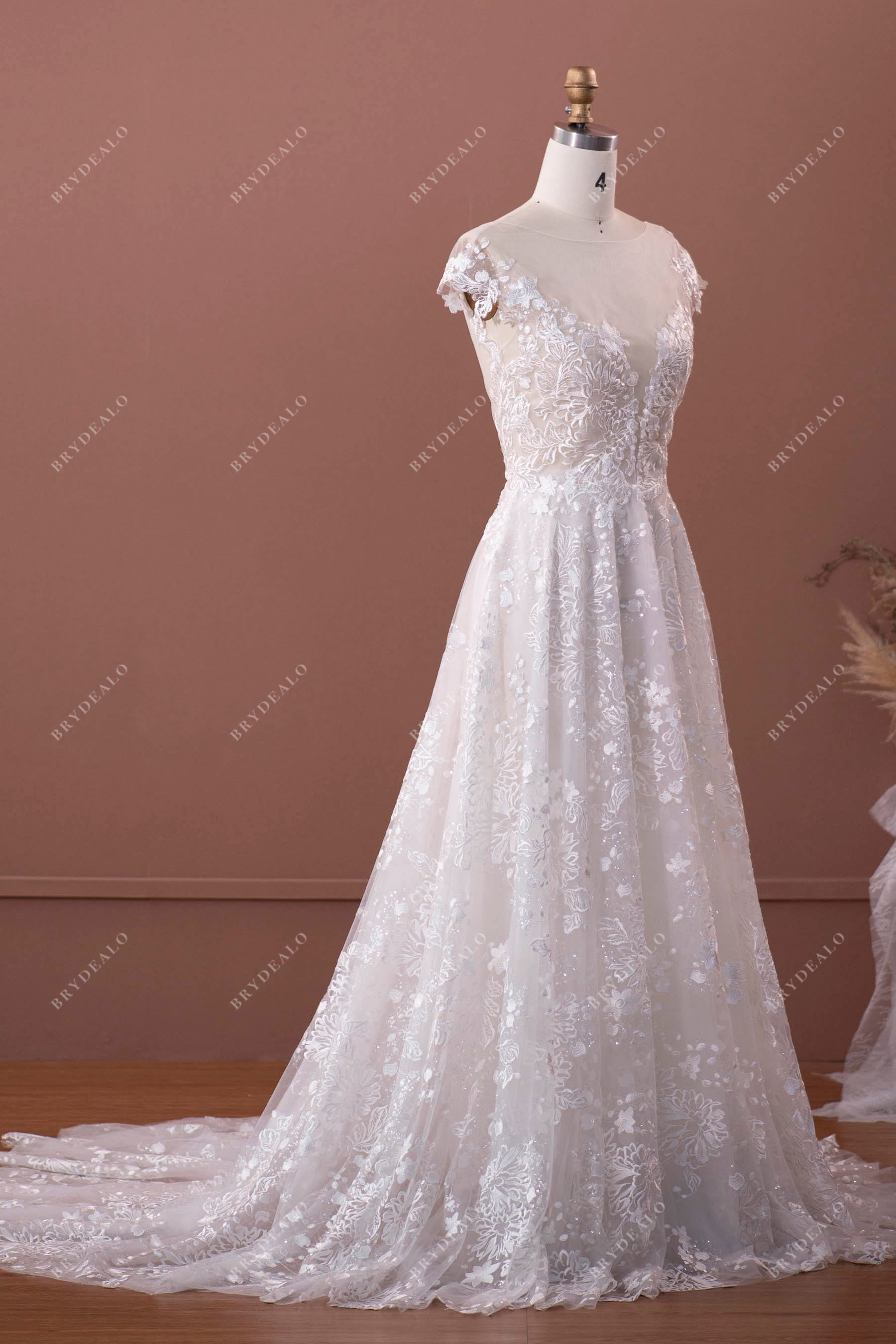 Sheer Cap Sleeve Lace Illusion Neck Spring Bridal Gown