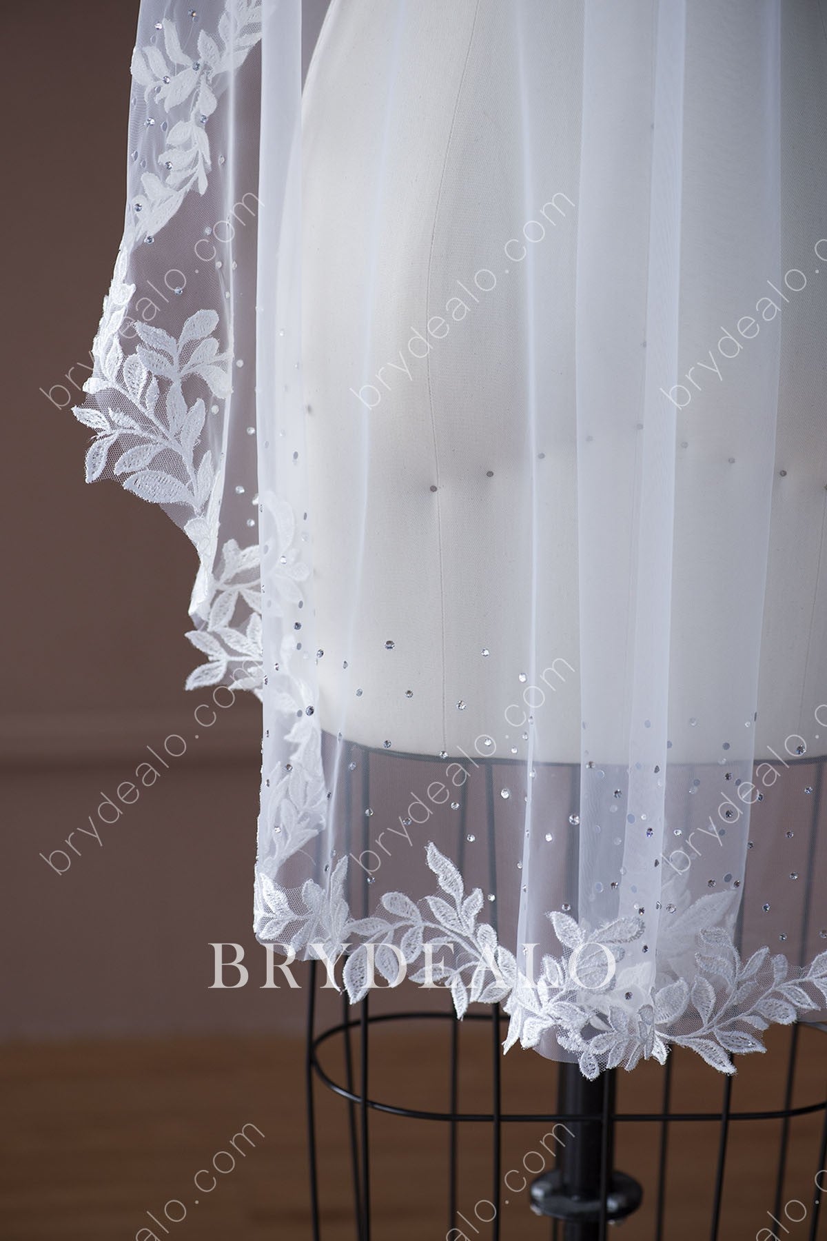 elegant lace edge wedding veil