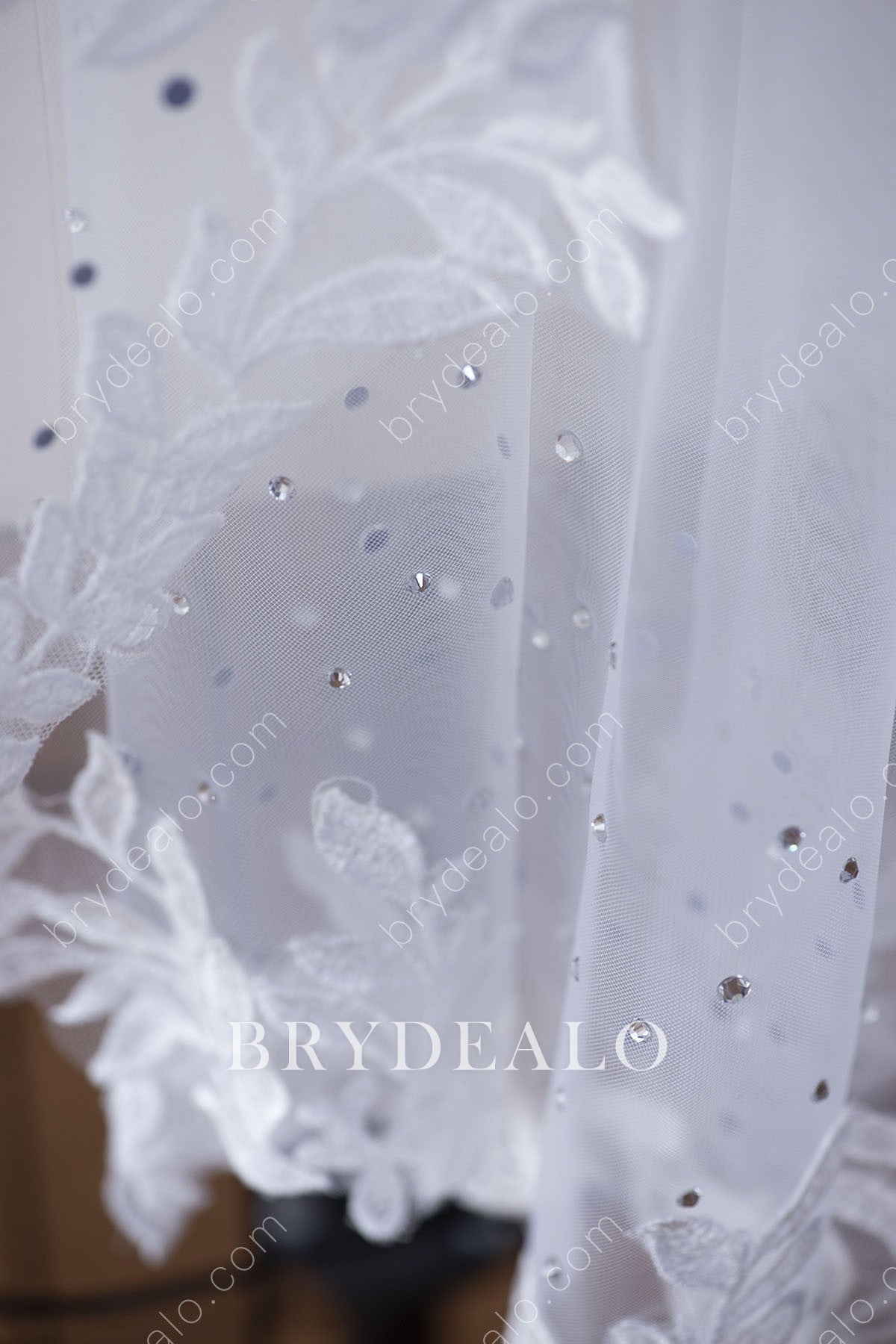 sparkly rhinestone lace bridal veil