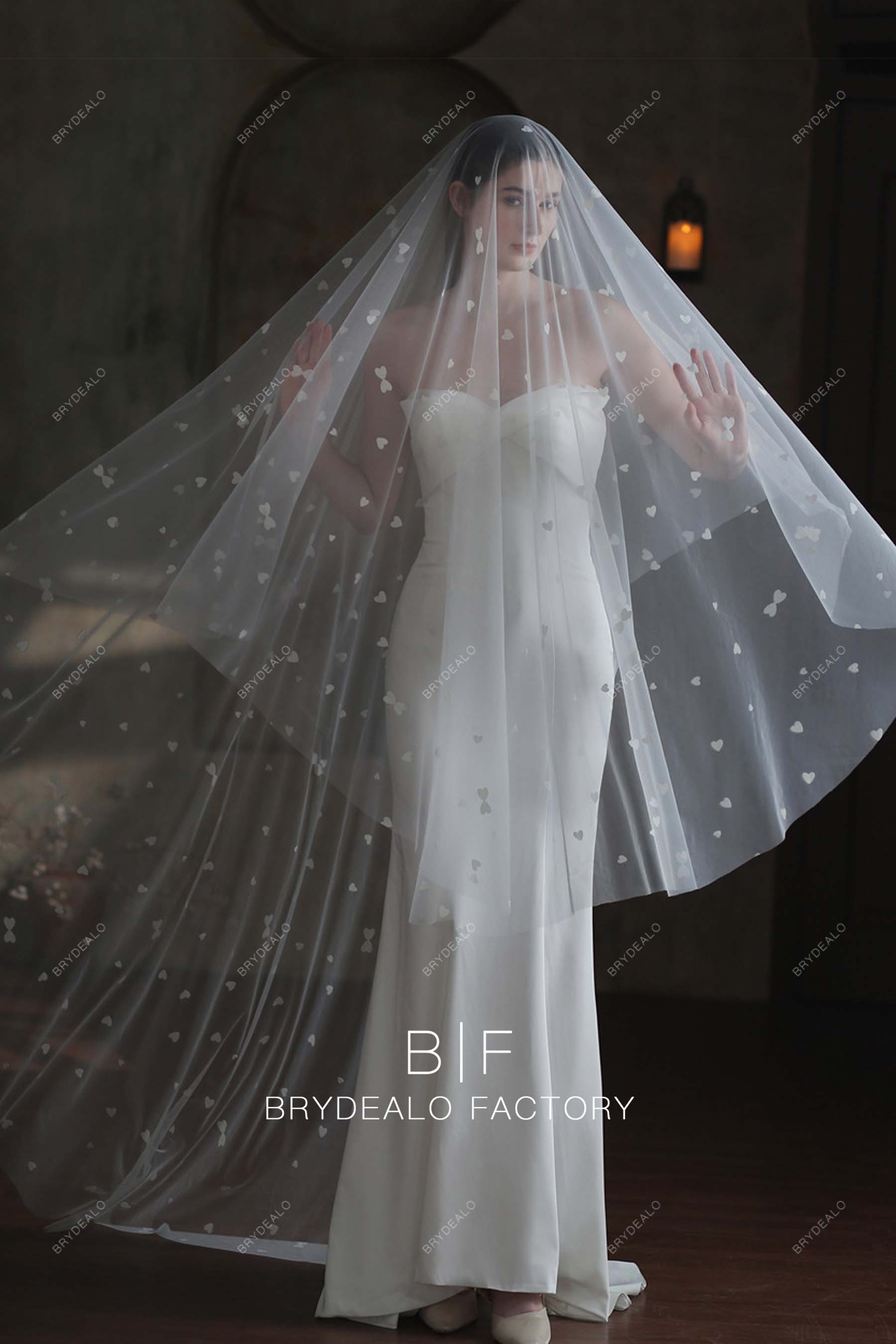 Sweetheart Tulle Raw Cut Single-tier Cathedral Length Drop Veil