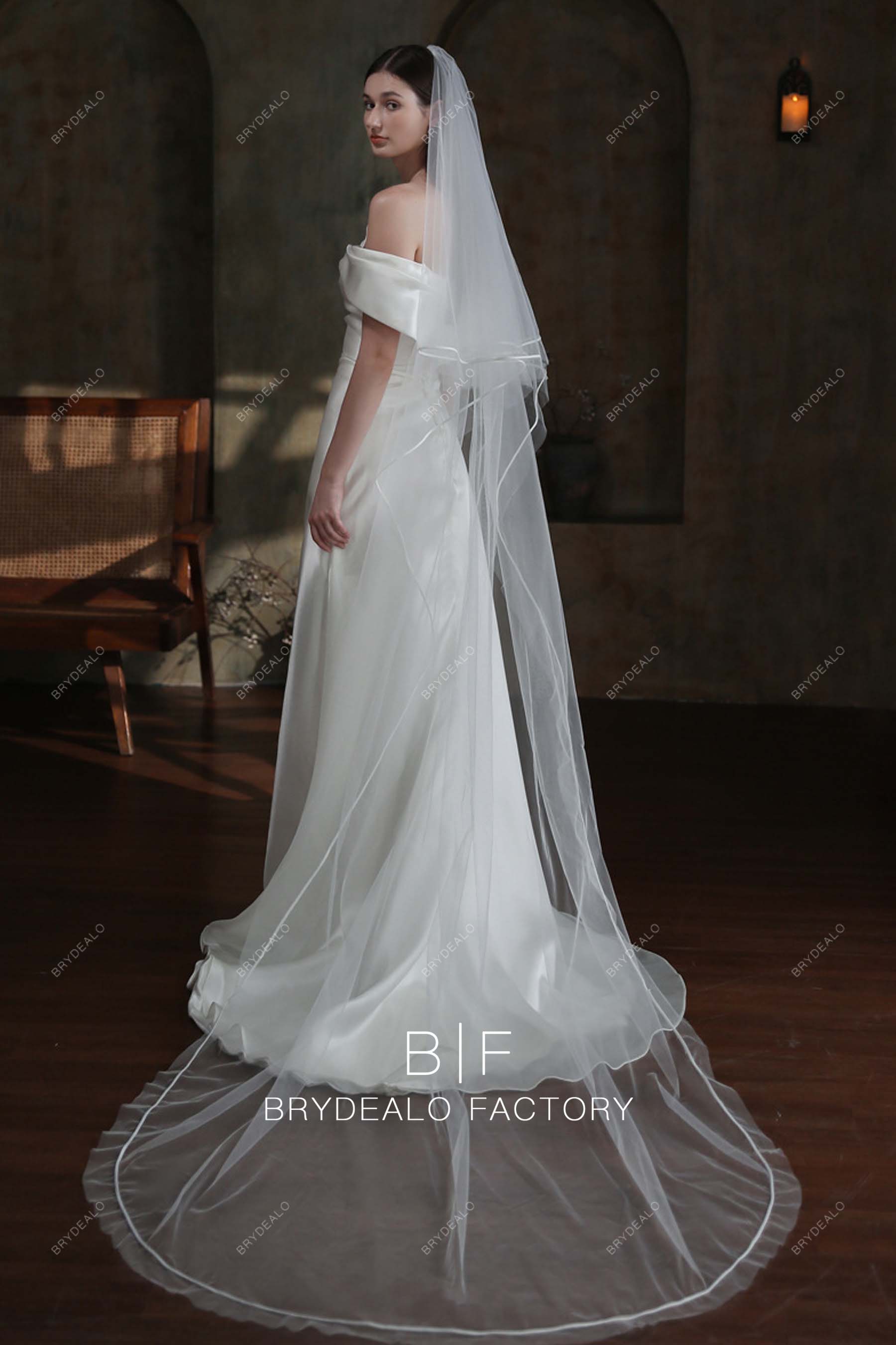 Elegant Long Bridal Veil with Satin Ribbon