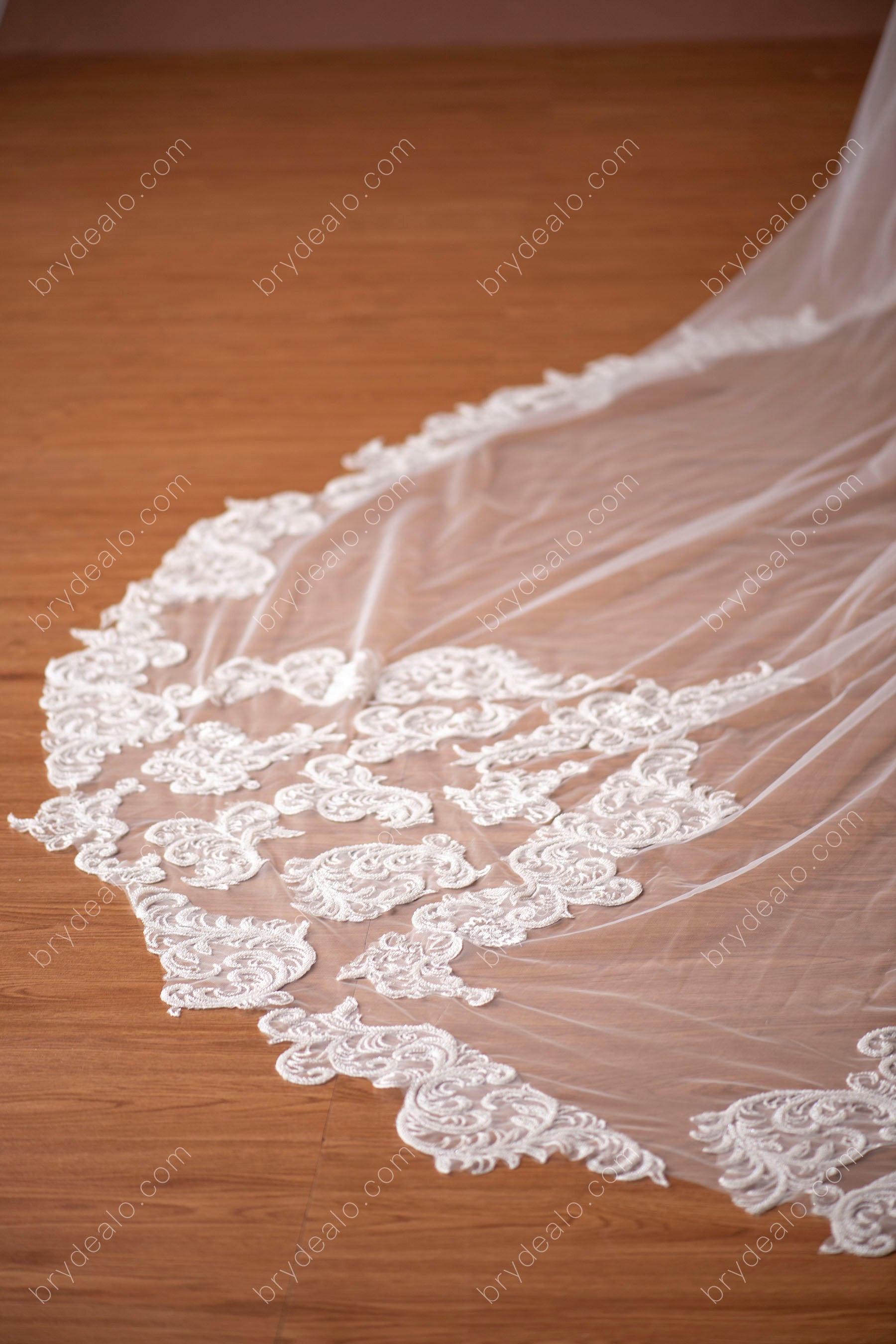 fashionable beaded lace veil