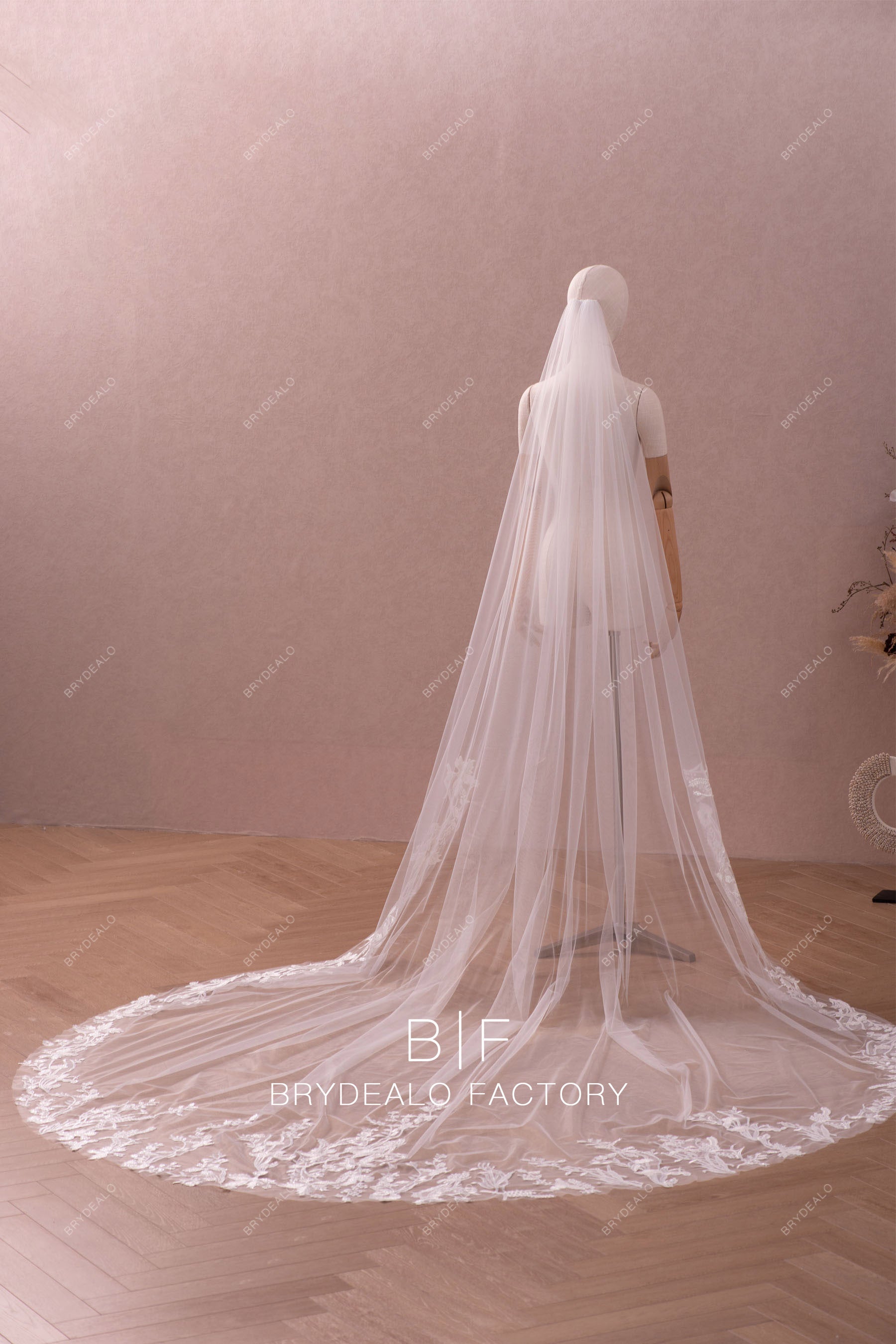 Lace Adorned Raw Cut Tulle Royal Train Elegant Wedding Veil